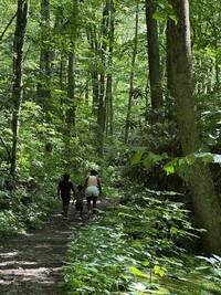  Hikers enjoy the Cascades National Recreation Trail in the George Washington and Jefferson National Forests near Pembroke, Virginia. Photo courtesy of Candyce H. Stapen. 