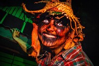  The Cat Lady of Crooked Lane prowls the streets during Universal Orlando's Halloween Horror Nights. Photo courtesy of Universal Orlando Resort. 