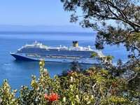  Carnival Cruise Lines' Firenze lies at anchor off Catalina Island, California. Photo courtesy of Perry Montoya. 