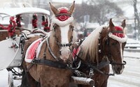  Horse-drawn carriage rides are part of the holiday fun at Mountain Lake Lodge in Pembroke, Virginia. Photo courtesy of Mountain Lake Lodge. 