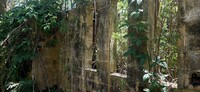 Today only the ruins of the former Hanalei Bay Club Med remain on the island of Kaua'i, Hawaii. Photo courtesy of Jim Farber.