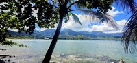 The view from the ruins of the Hanalei Bay Club Med is, in fact, Hanalei Bay. Photo courtesy of Jim Farber.
