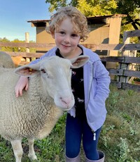  A child interacts with a lamb at the Fat Sheep Farm in Harland, Vermont. Photo courtesy of Fat Sheep Farm: Suzy Kaplan. 
