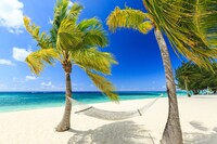 A hammock awaits visitors to Seven Mile Beach on the island of Grand Cayman. Photo courtesy of Sorin Cola/Dreamstime.com. 