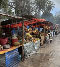  A roadside tropical fruit market beckons through an afternoon rainstorm. Photo courtesy of Lesley Frederikson. 