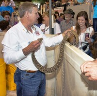  Visitors to the Texas Rattlesnake Roundup in Sweetwater, Texas, line up to see the reptiles on display there. Photo courtesy of J W. Scott McGill/Dreamstime.com. 