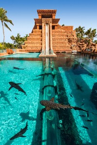  At Leap of Faith, Atlantis Paradise Island, Bahamas, visitors speed down a 60-foot slide submerged in a marine lagoon. Photo courtesy of Atlantis Paradise Island. 