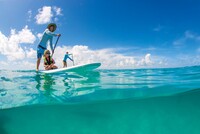  Family paddleboarding is popular in Islamorada, Florida. Photo courtesy of Visit Florida Keys. 