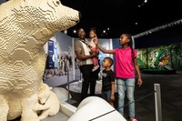  A mother polar bear and her cuddling cub make for a popular stop at 'Brick Planet: A Magical Journey Made With LEGO Bricks,' opening next year in New Mexico. Photo courtesy of the Denver Museum of Nature and Science. 