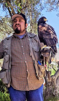 Master falconer Carlos Laorrabaquio, here shown with Cassiopea, trains birds to keep rodents away from the vineyards at El Cielo Resort and Winery in northern Baja California, Mexico. Photo courtesy of Jim Farber.