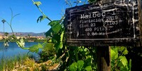  El Cielo Resort and Winery in the Valle de Guadalupe in Baja California, Mexico, is unusual in that it pairs a luxury resort with a fully operational winery. Photo courtesy of Jim Farber. 