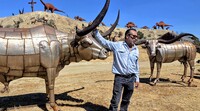 Southern California metal artist Ricardo Breceda poses with metal steers he has created in the Temecula Valley of Southern California. Photo courtesy of Jim Farber.