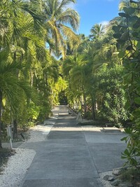 A lush sea-grapes and palm-tree-lined path at the Carlisle Bay Resort in Antigua creates a soothing walkway. Photo courtesy of Candyce H. Stapen.
