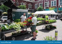  A flower vendor at the farmers market in Roanoke, Virginia, makes a sale. Photo courtesy of Larry Metayer/Dreamstime.com. 