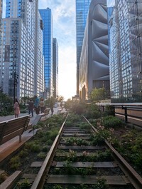  Locals and visitors find respite on the High Line, New York City's linear park. Photo courtesy of Athena Lucero. 