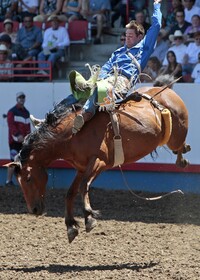 A bareback rider shows off his skill at the annual Greeley Stampede in Colorado. Photo courtesy of Lincolnrogers/Dreamstime.com.
