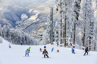 The ski slopes in Aspen, Colorado, challenge skiers and snowboarders. Photo courtesy of Blissss/Dreamstime.com.