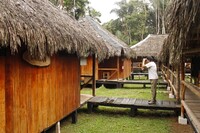  Each wooden structure at the Siona Lodge in Ecuador's Amazon region sports a palm frond roof that blends with the jungle. Photo courtesy of Doug Hansen. 