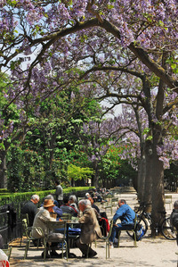 Playing chess under the violet-blooming Paulownia trees in Paris' Luxembourg Gardens is a popular pastime. Photo courtesy of Priscilla Lister.
