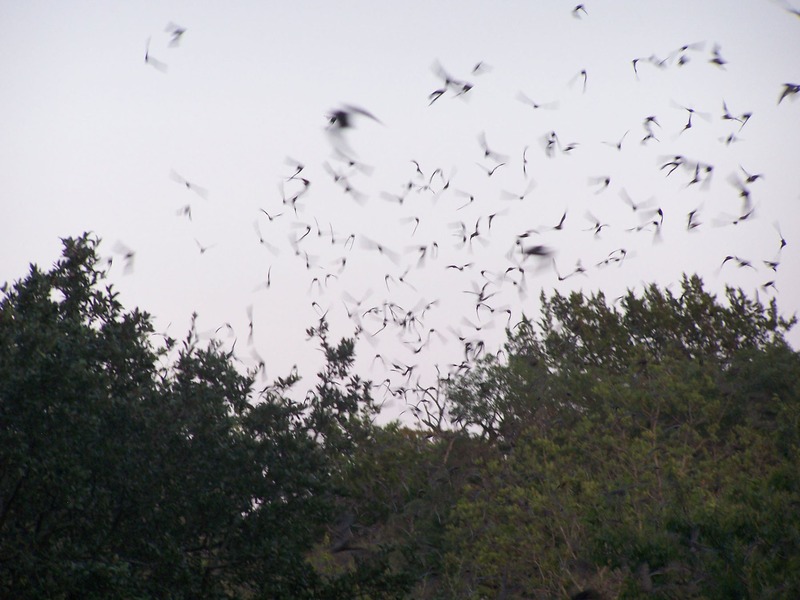 Outdoor Fun in the Hill Country of Texas, by Travel Writers Creators