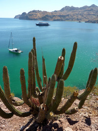  The Un-Cruise ship Safari Endeavour makes stops at serene Bahia de Agua Verde, a cove in the Sea of Cortez, Mexico. Photo courtesy of Jim Farber. 