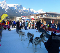 Main Street in Canmore, Alberta, Canada, is blocked off for cross-country skiing each year during the winter carnival. Photo courtesy of Jim Farber.