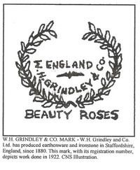  W. H. Grindley and Company, Ltd made Flow Blue ironstone. 
