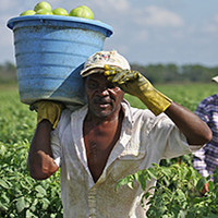 Farming has become a thankless job in our country. Let's honor the hands that feed us this year for Thanksgiving. 