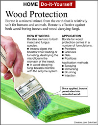  Borate is effective against both wood-boring insects and wood-decaying fungi. 