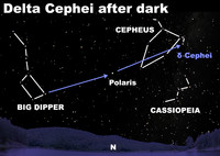  See Delta Cephei after dark. 