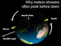  Head outdoors to view the Perseids shower. 