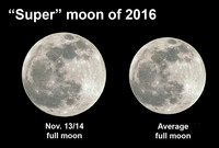  Head outdoors and view the super moon this week. 