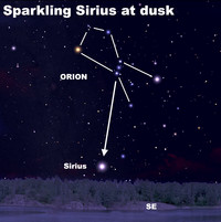  View the scintillating Sirius after dark this week. 