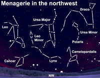  View the celestial menagerie after dark this week. 