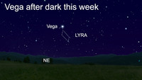  Make friends with Vega after dark this week. 