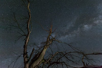  Capture the cosmos with your camera! 