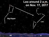  View the falling stars of November this week. 