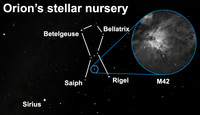  See a stellar nursery after dark this week. 
