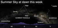  Those who are early to rise this week will get a celestial treat. 