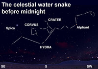  Find the largest constellation after dark this week. 
