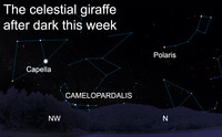  Find the celestial giraffe after dark this week. 