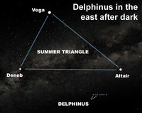  View the stellar dolphin after dark this week. 