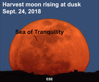  See the harvest moon after dark this week. 