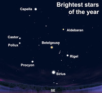  View the brightest stars of the year after dark this week. 