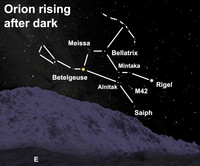  See the great celestial hunter after dark this week. 