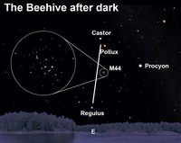  Find the celestial beehive after dark this week. 