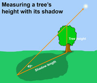  Measure heights with shadows after dark this week. 