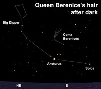  Within the Coma Berenices constellation, Beta Comae is the brightest star. 