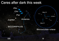  See the dwarf planet Ceres this week. 