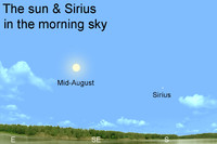 Many in olden times believed that it was the heat of brilliant Sirius, coupled with that of the sun, that produced the scorching summertime temperatures.